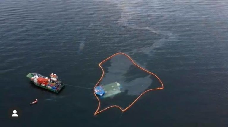 Otro Tragedia Ambiental De Industria Salmonera Contamina El Mar En El